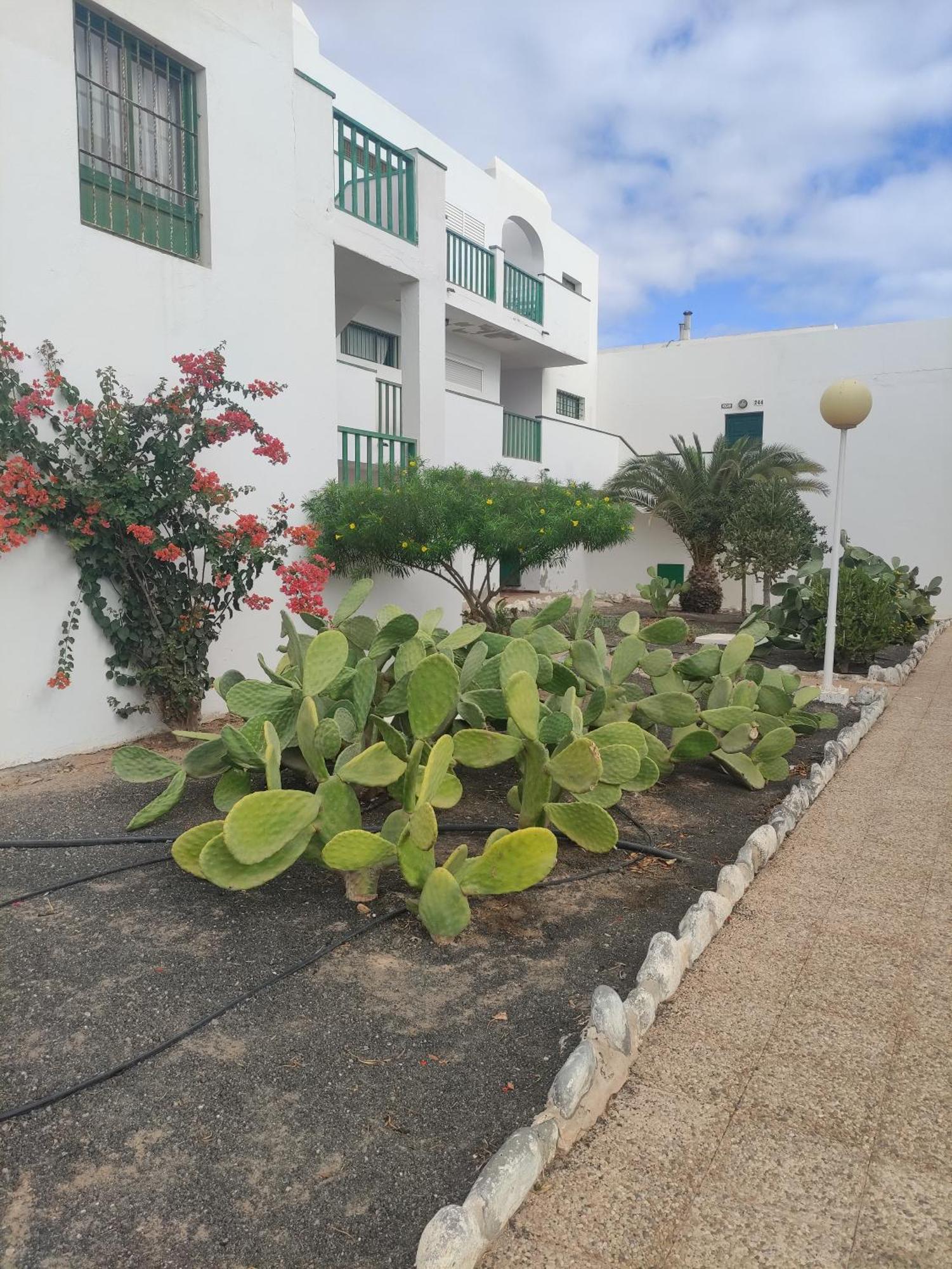 Casita Perla Blanca Apartment คอสตา เด อันตีกัว ภายนอก รูปภาพ