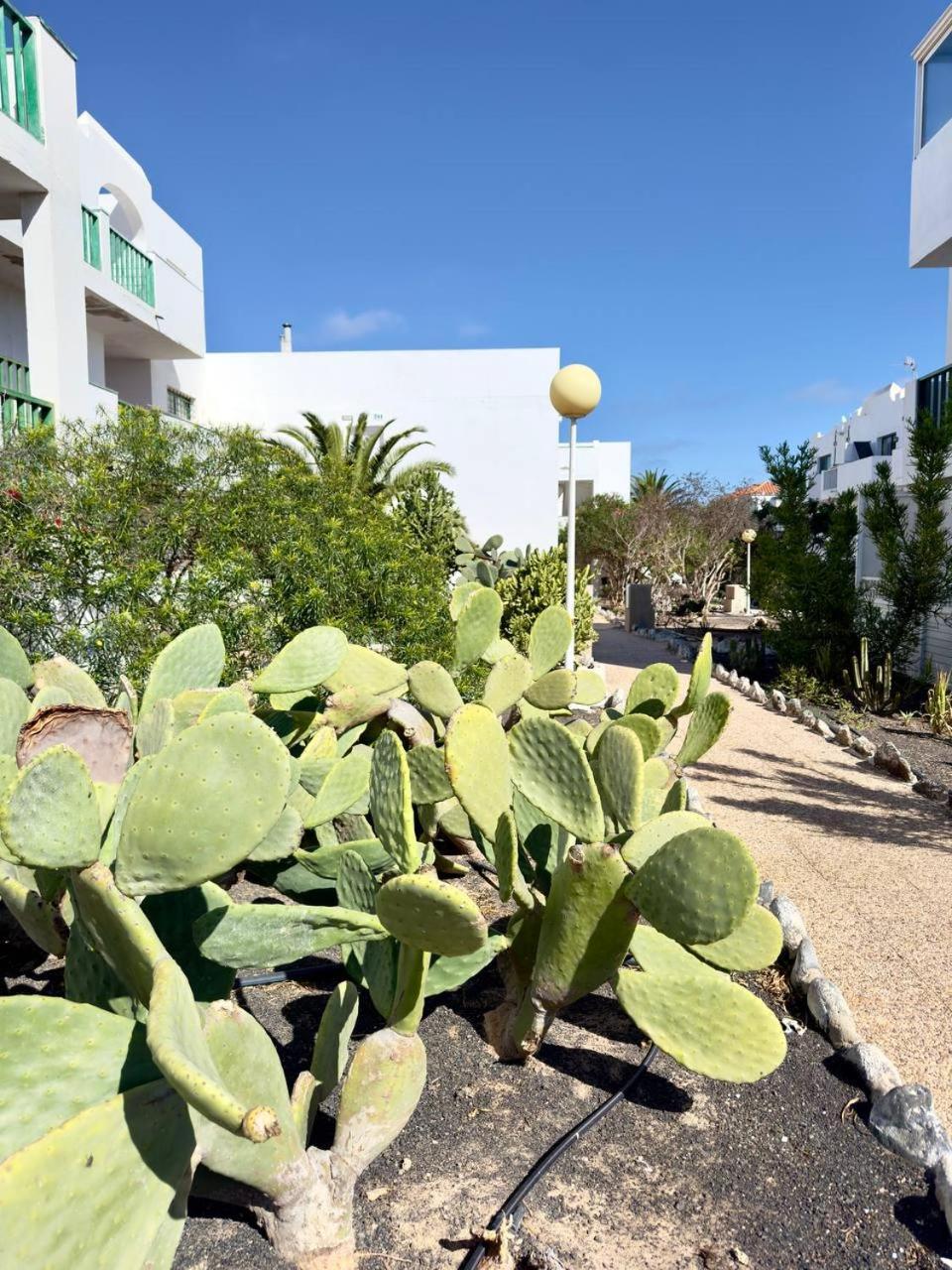Casita Perla Blanca Apartment คอสตา เด อันตีกัว ภายนอก รูปภาพ